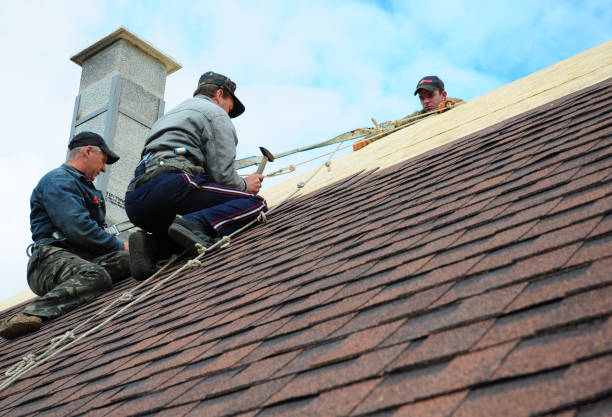 Best Roof Gutter Cleaning  in Parma, OH